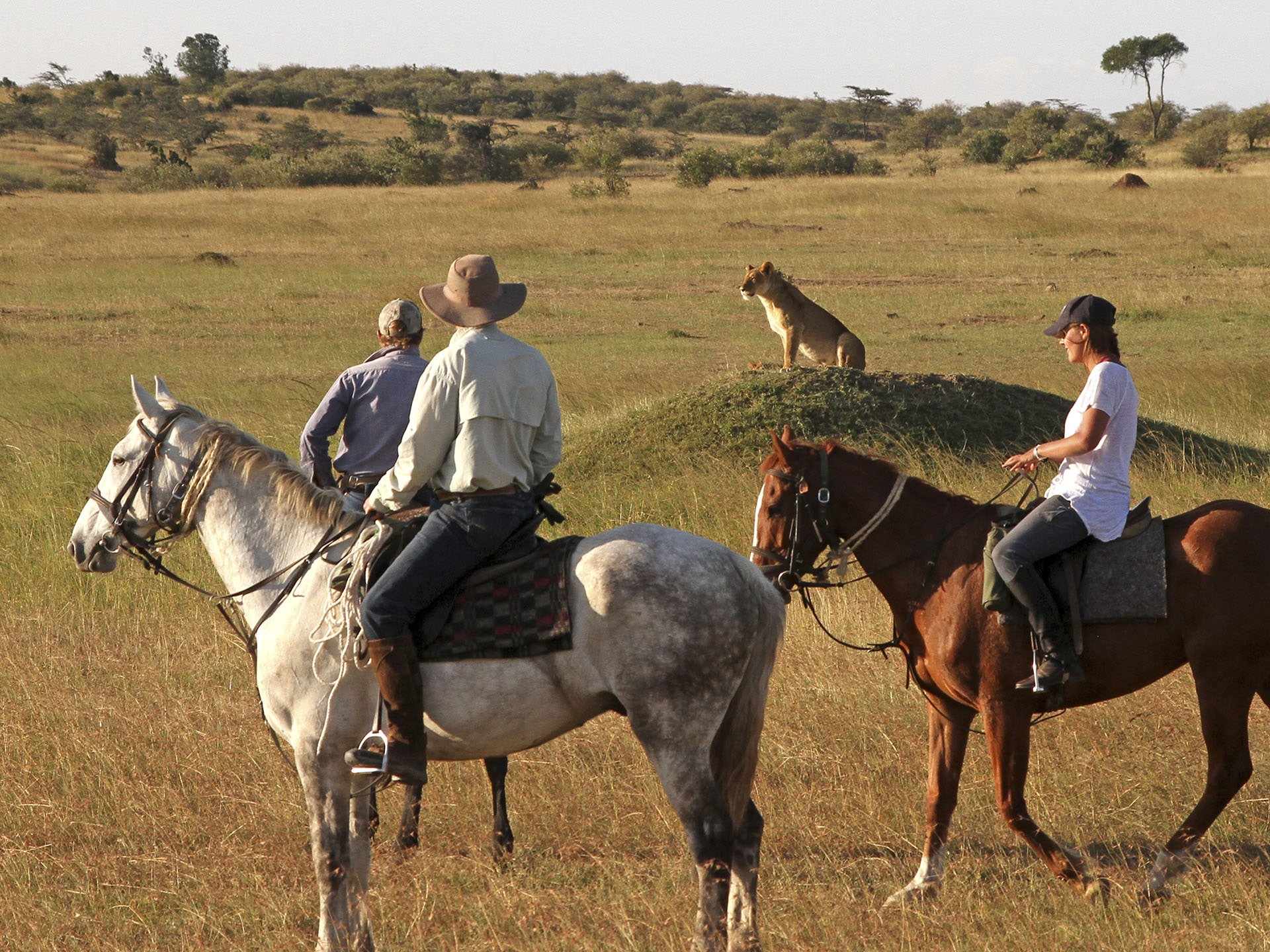 Amboseli