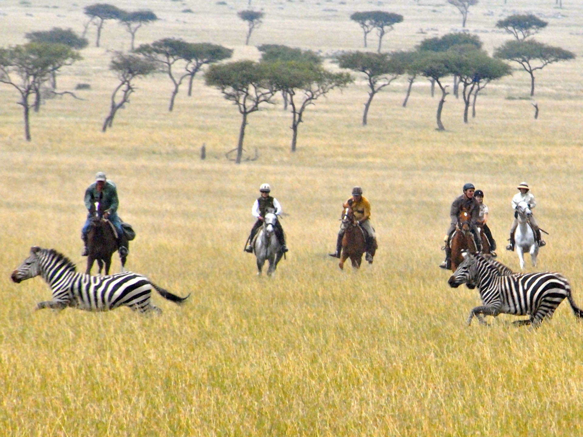 Amboseli