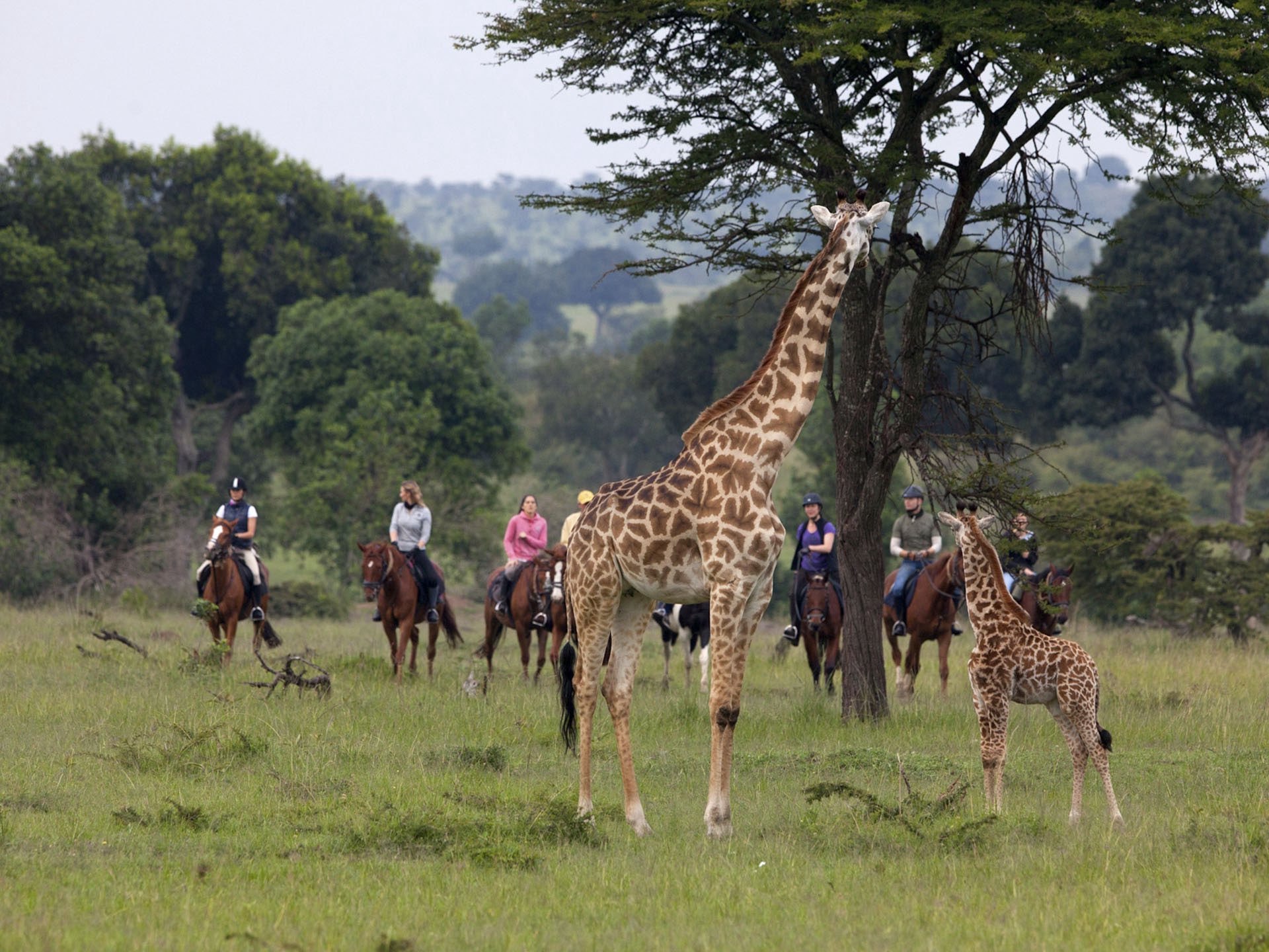 Amboseli