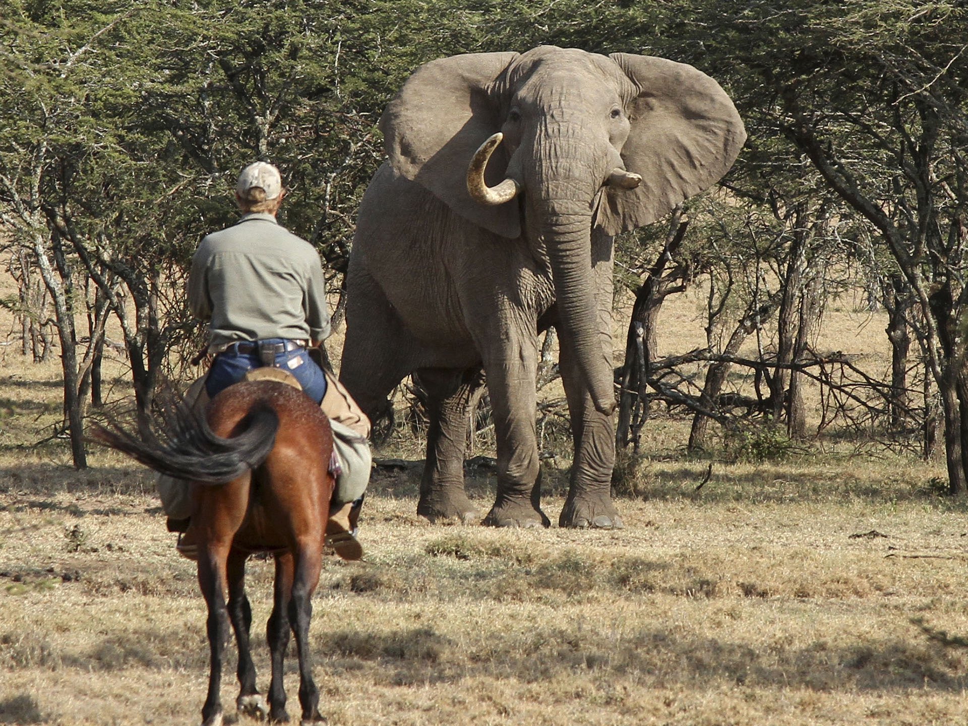 Amboseli