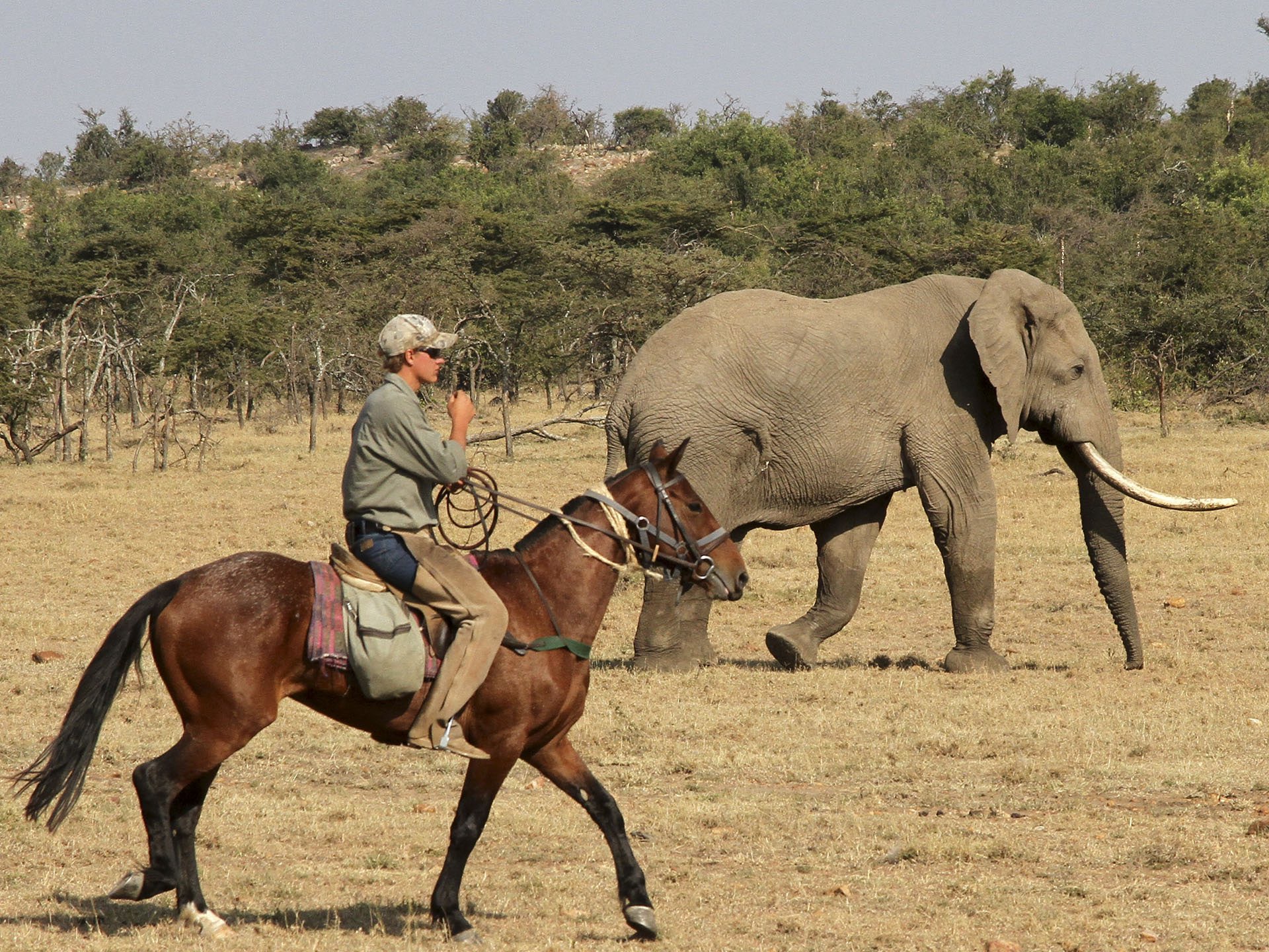 Amboseli