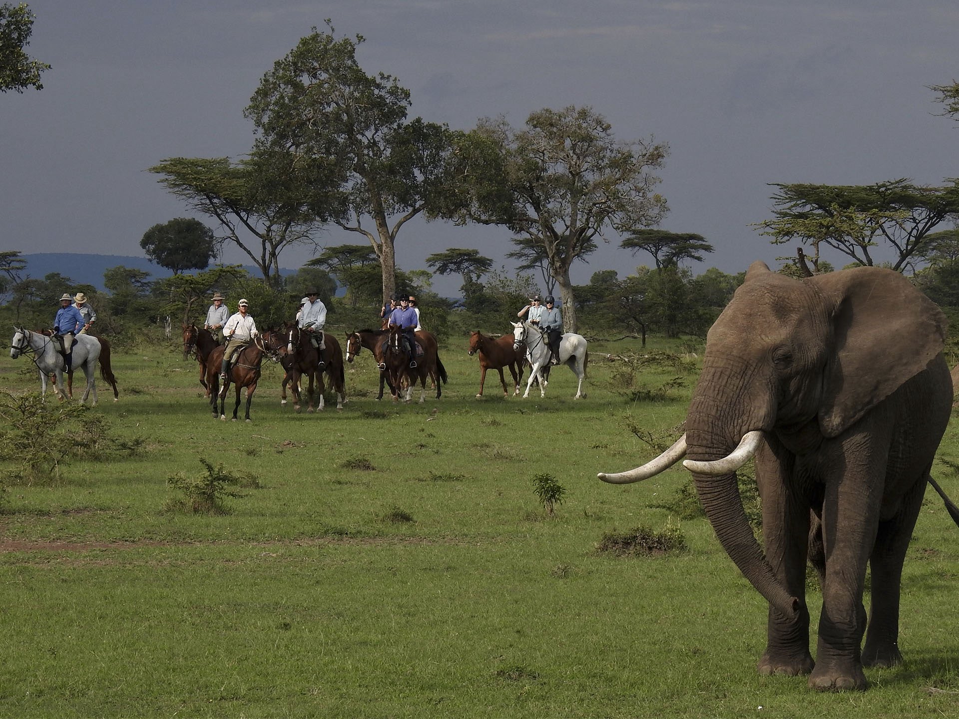 Amboseli