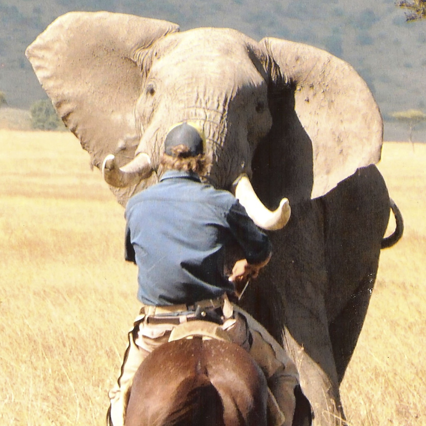 Laikipia