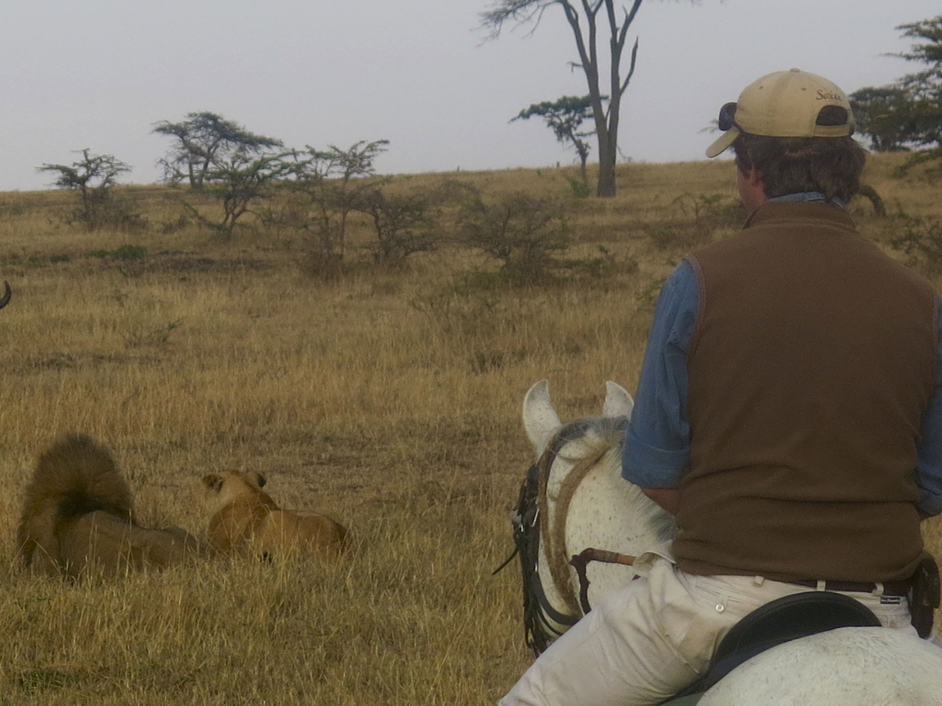 Laikipia