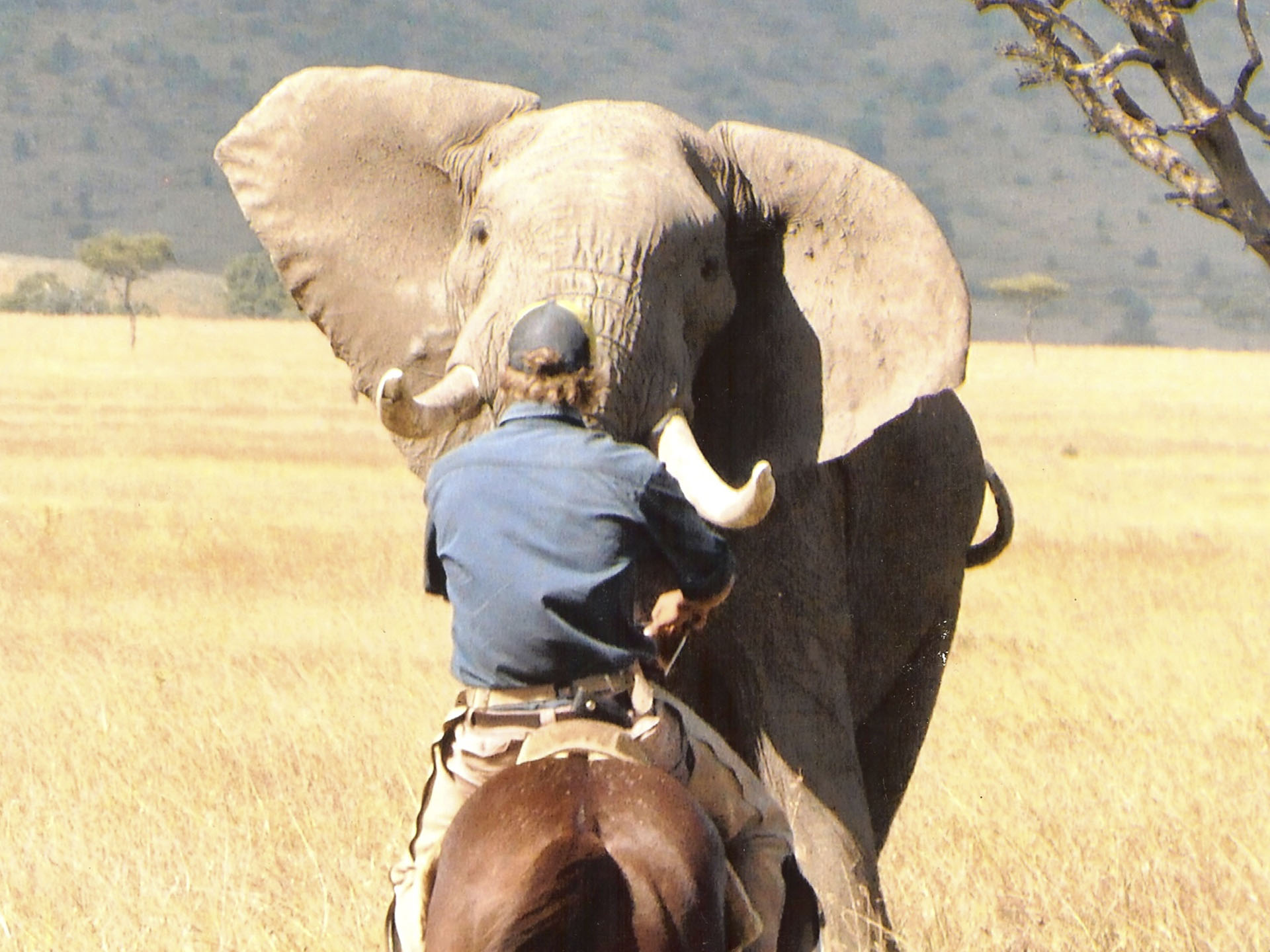 Laikipia