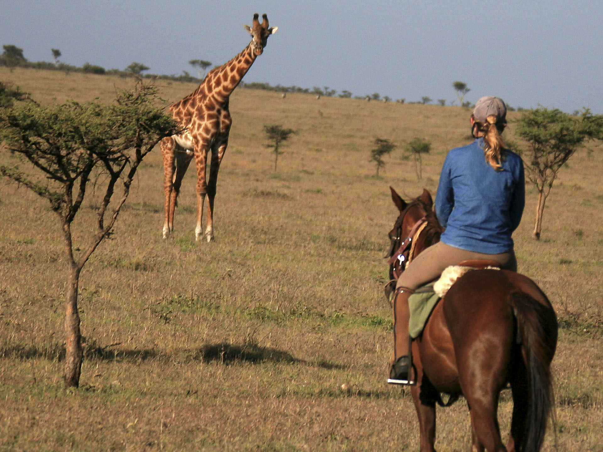 Laikipia