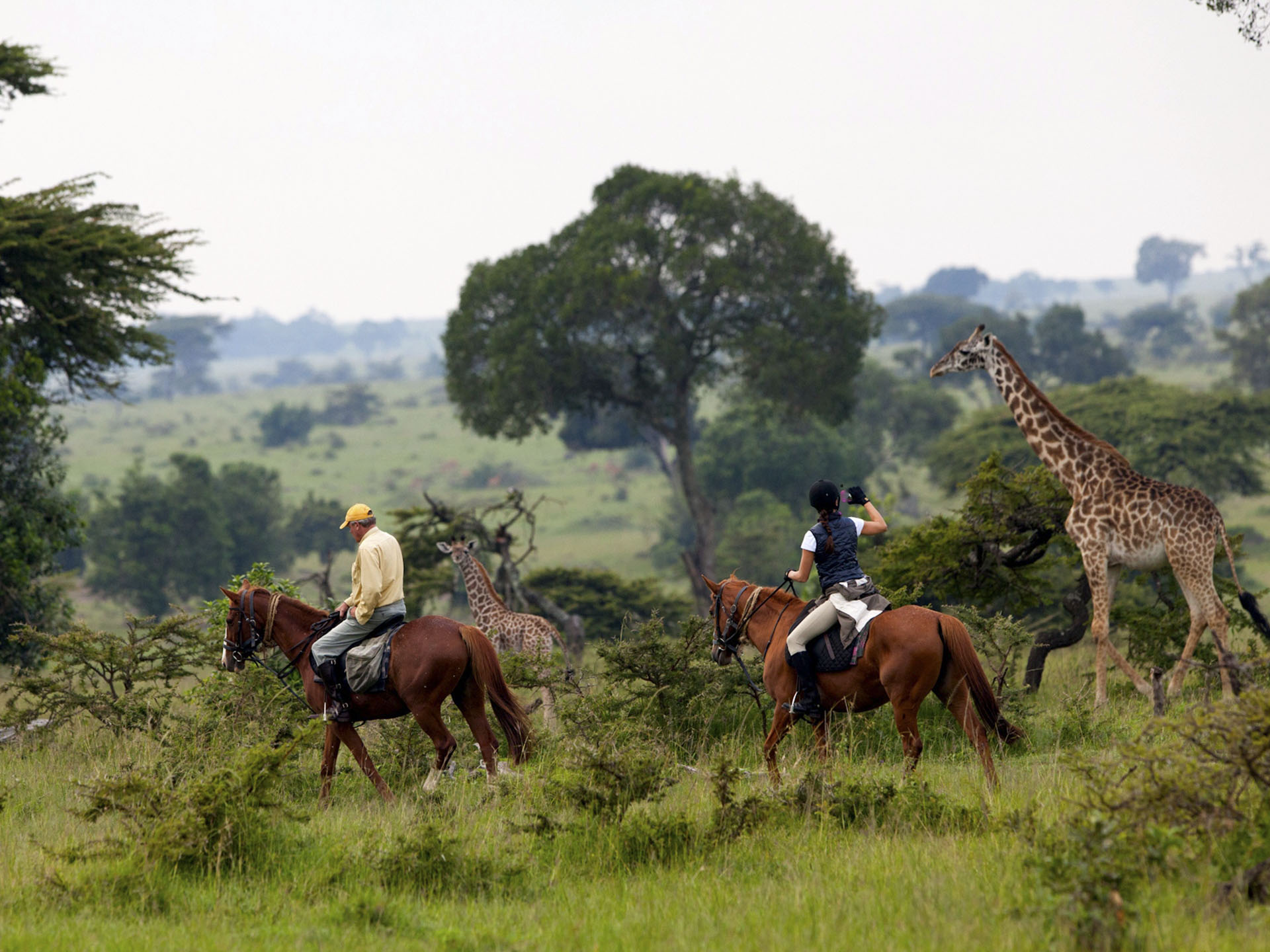 Laikipia