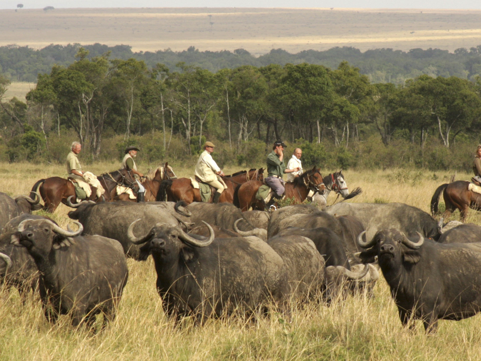 Laikipia