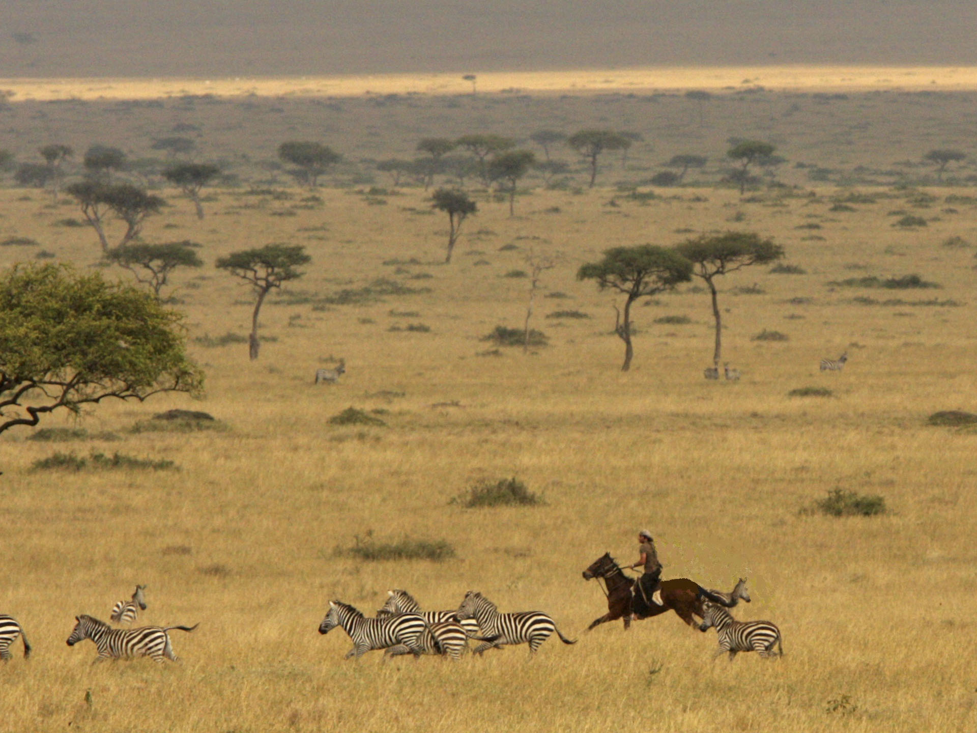 Laikipia