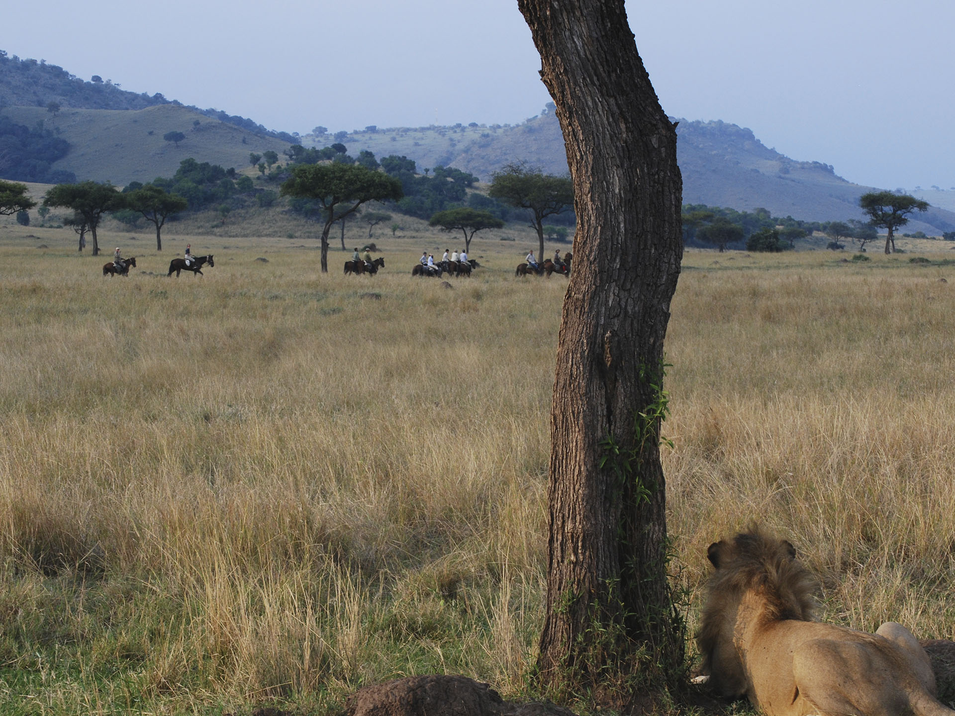 Laikipia