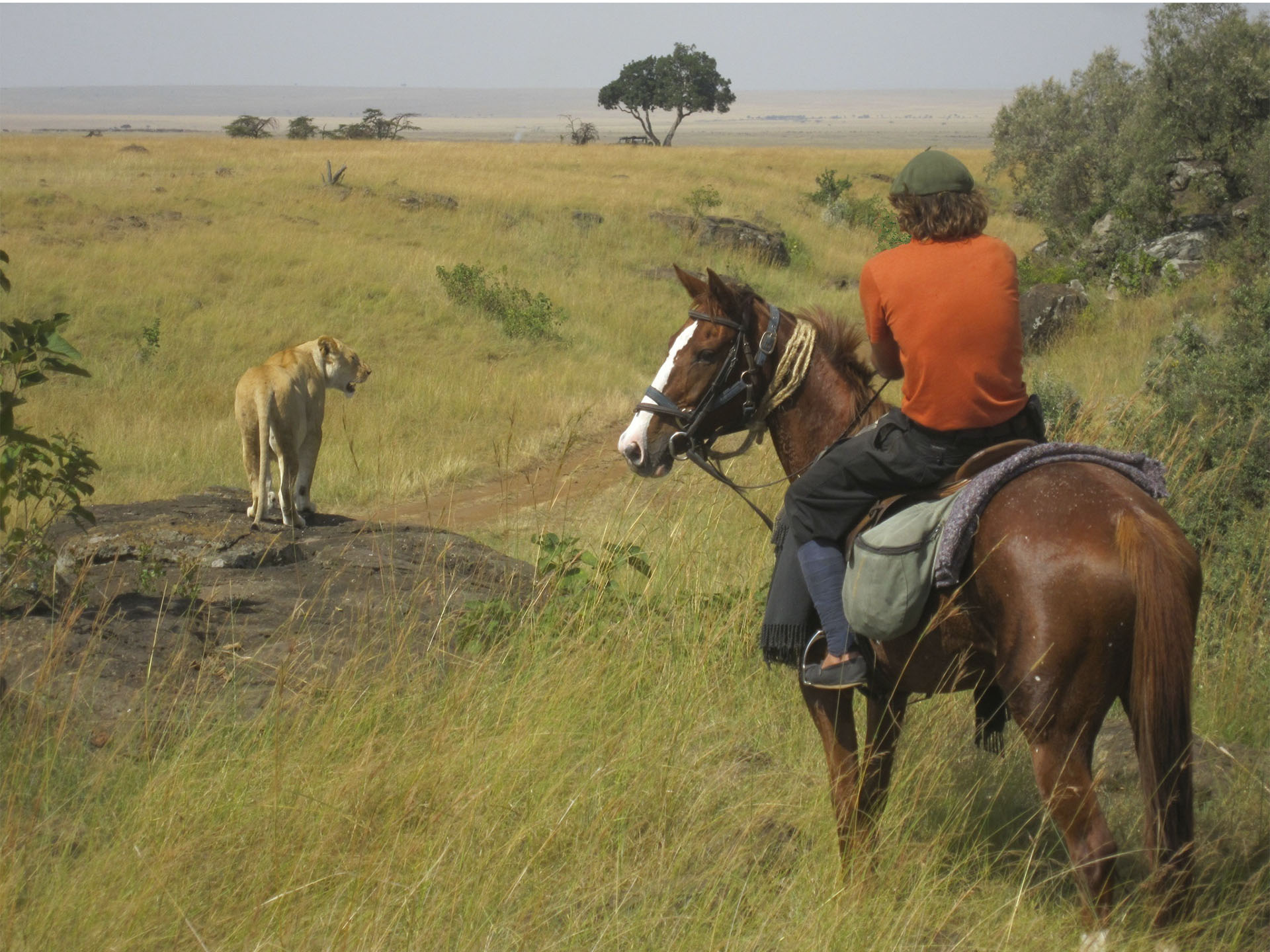 Laikipia