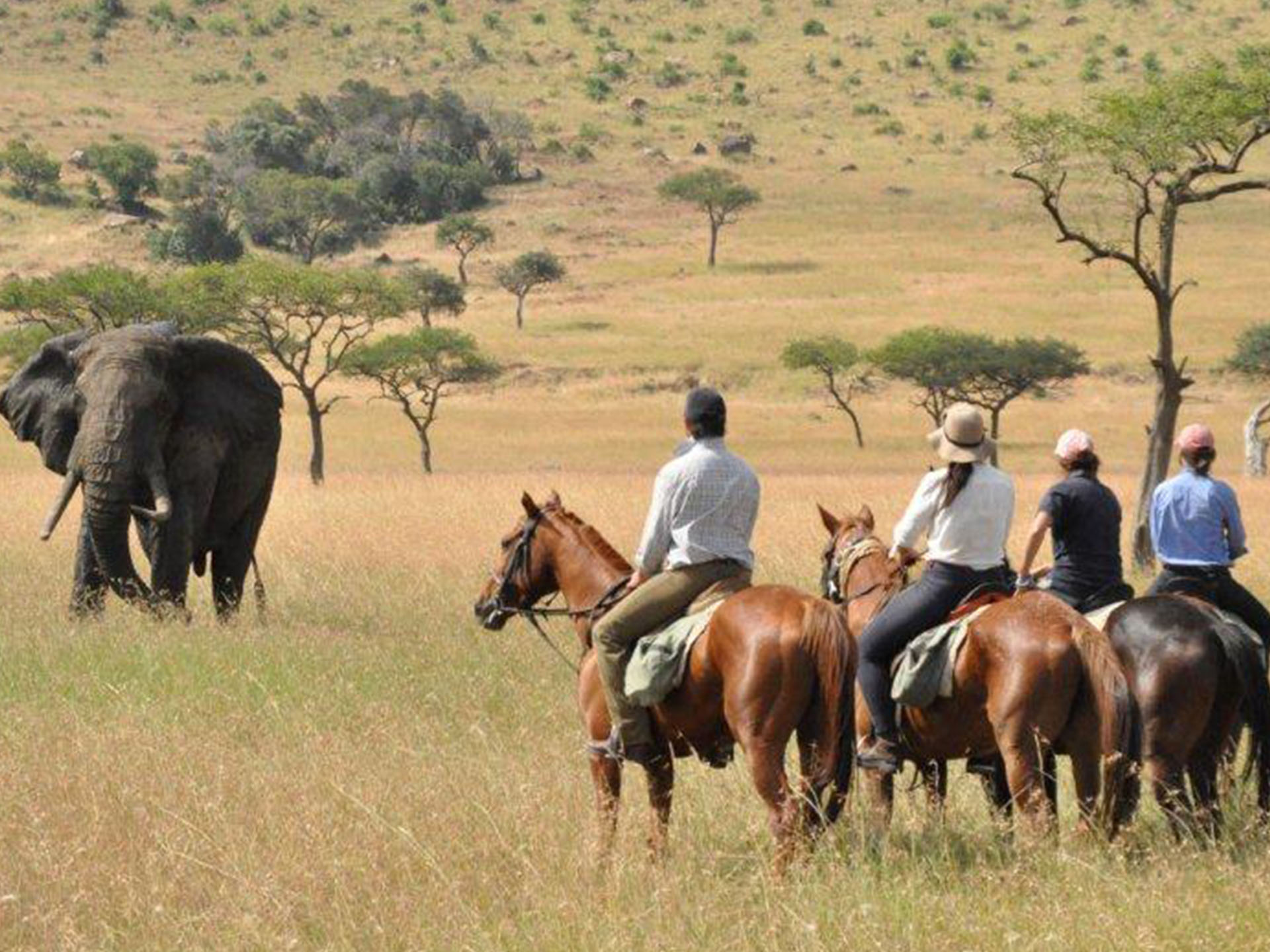 Laikipia