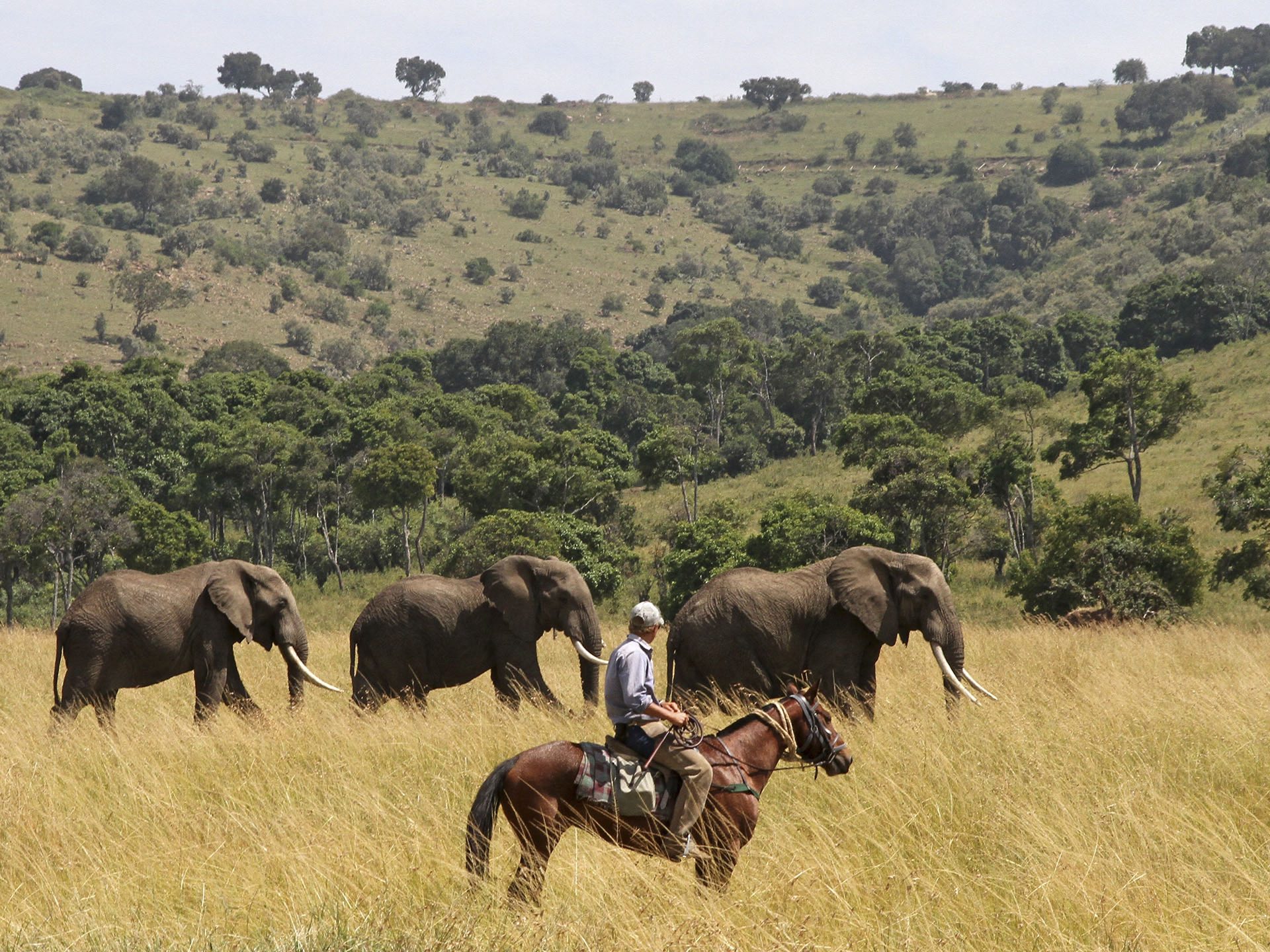 The Mara