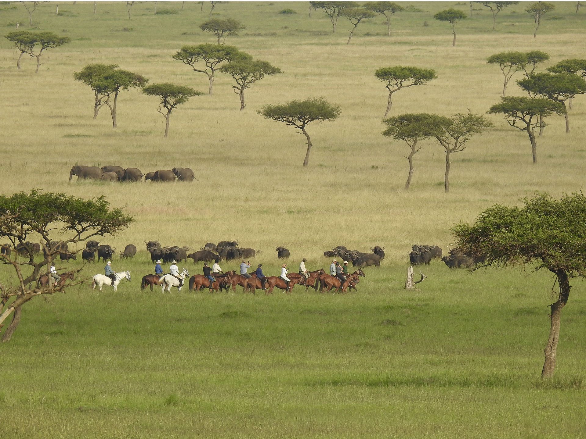 The Mara