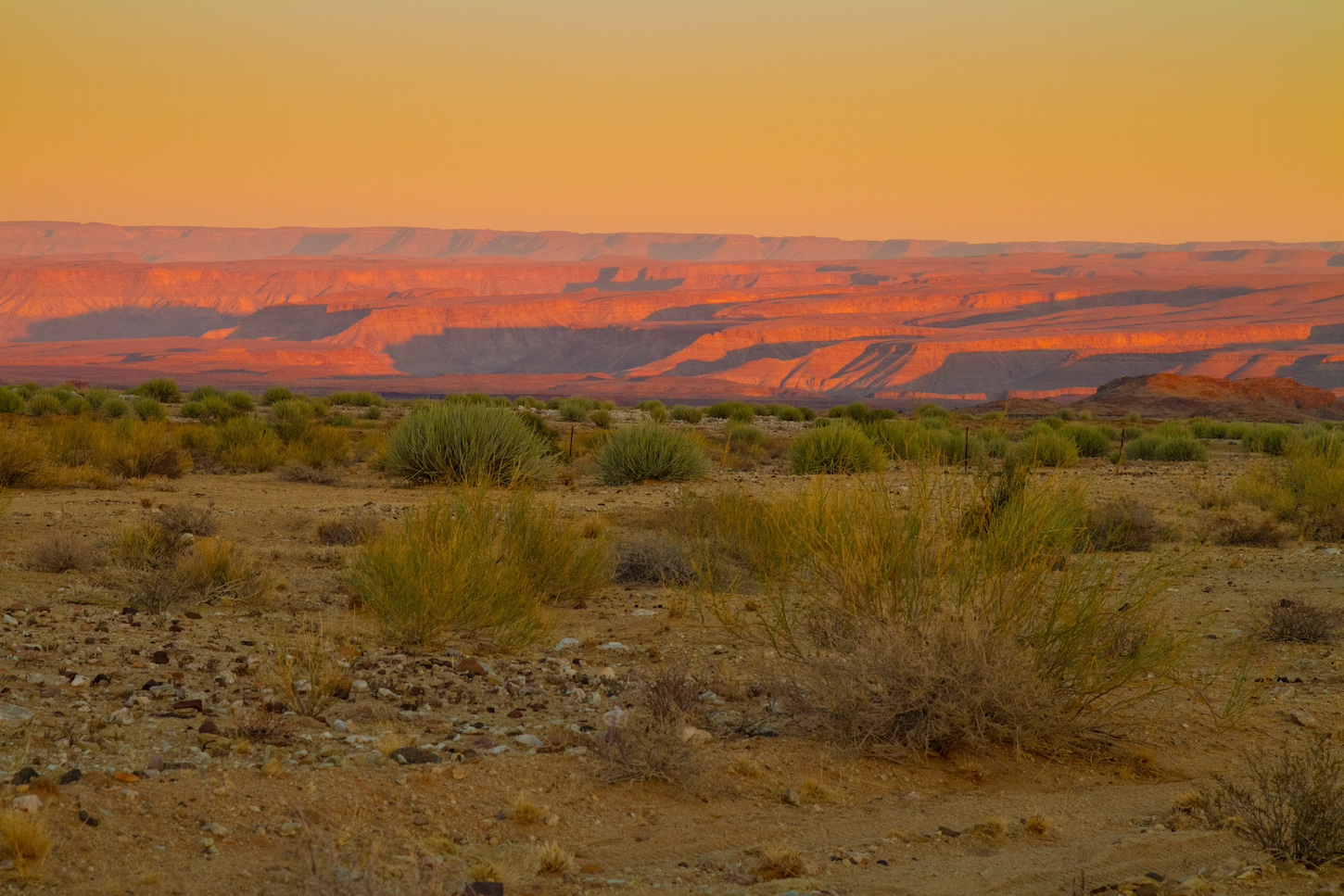 Desert Canyons