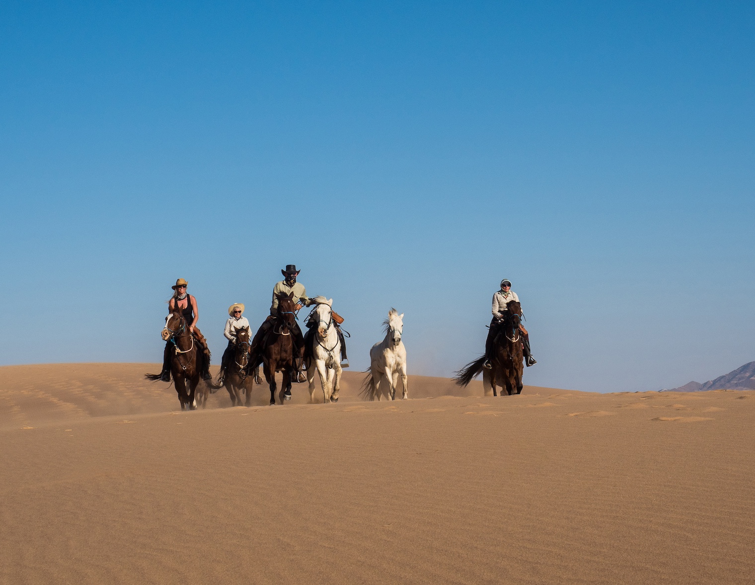 In Namibia along the sea