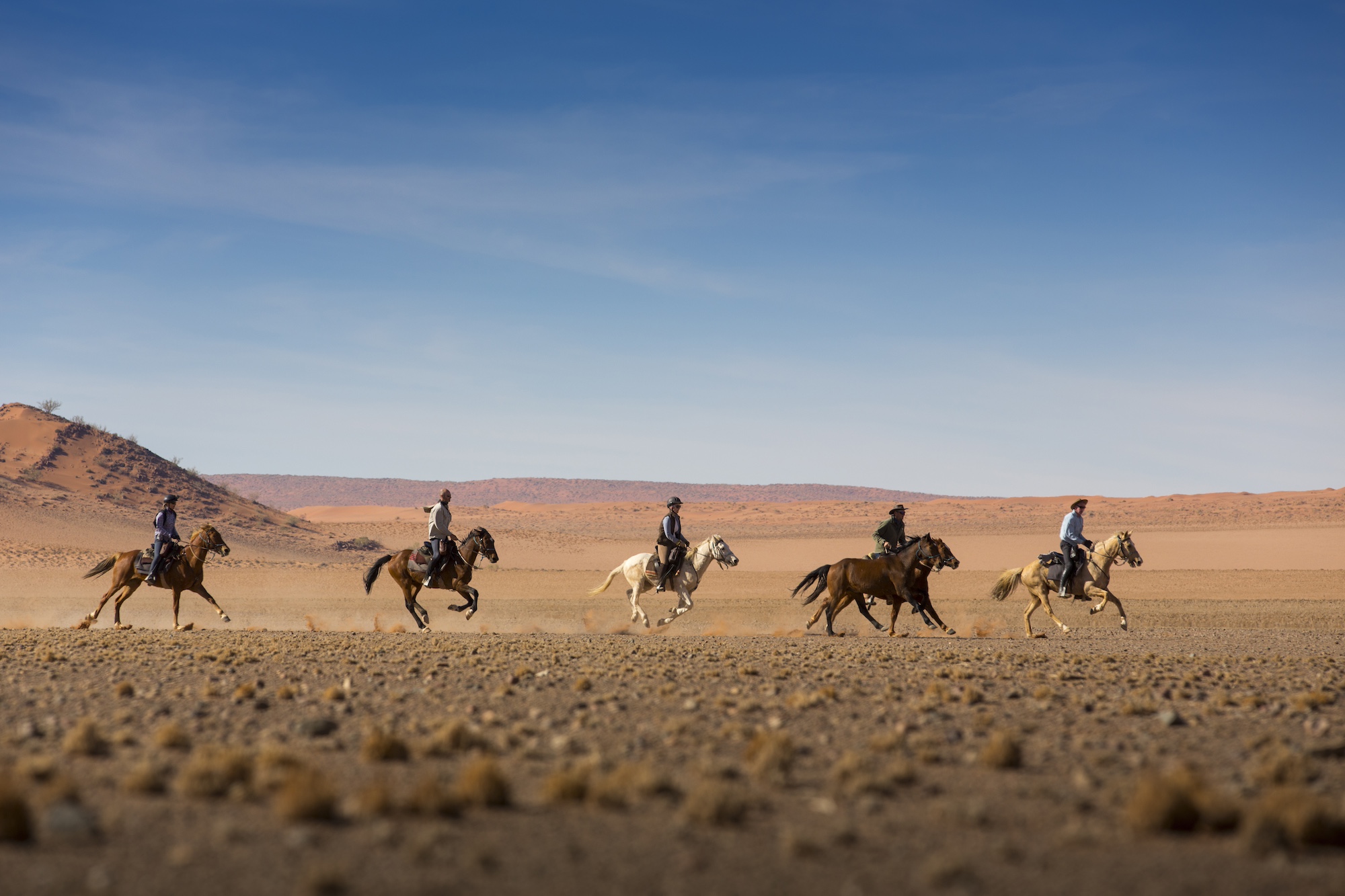 In Namibia along the sea