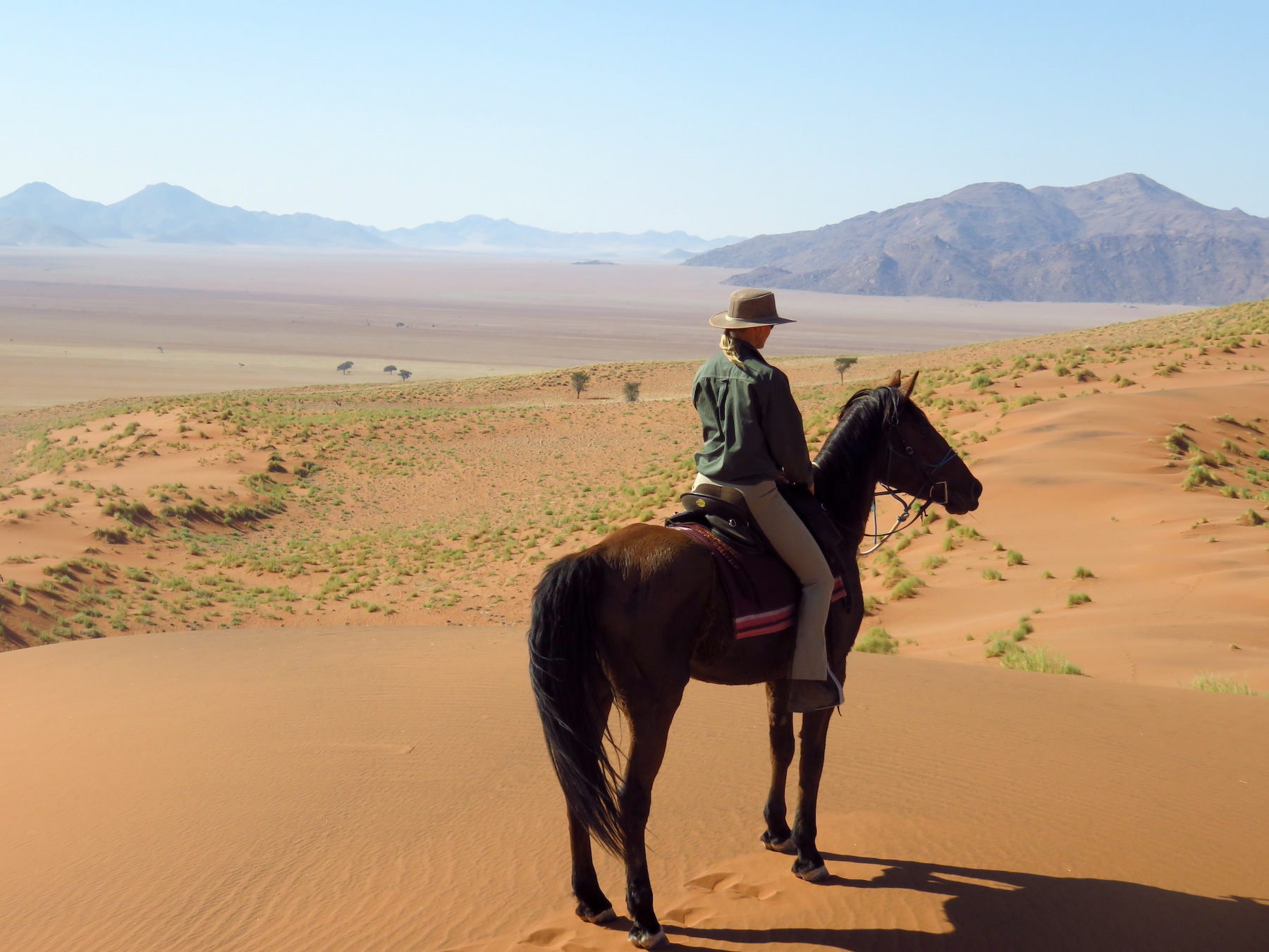 In Namibia along the sea