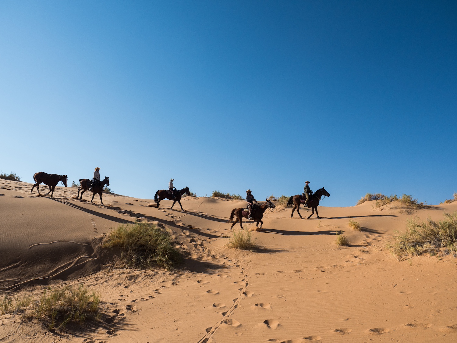 In Namibia along the sea