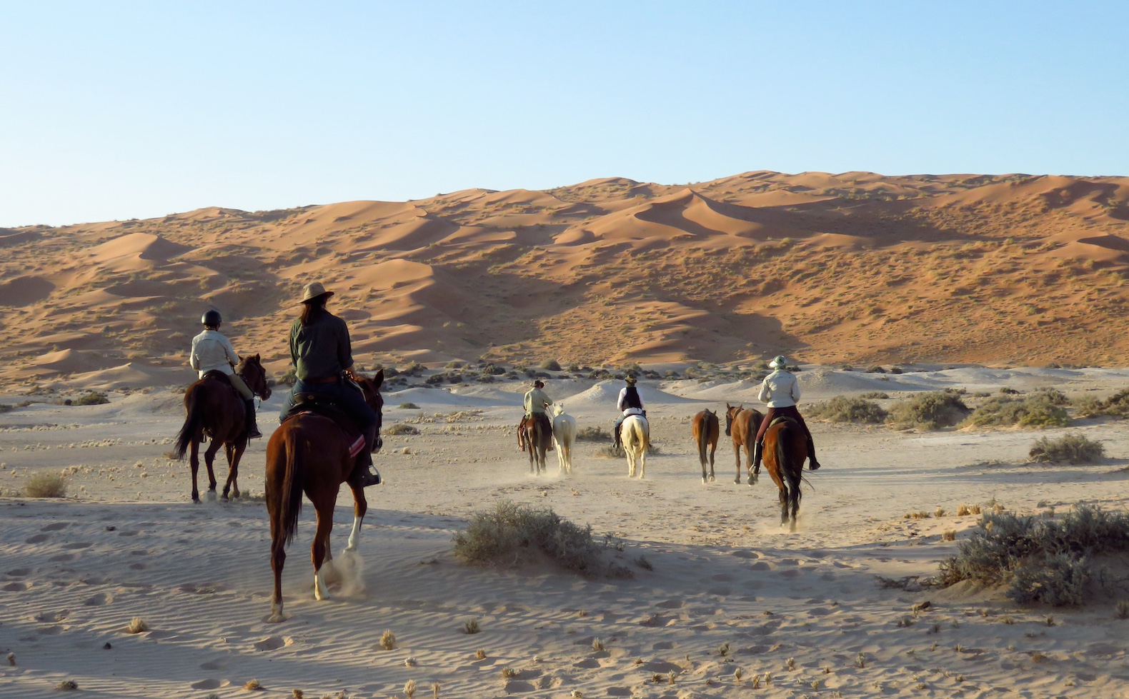 In Namibia along the sea