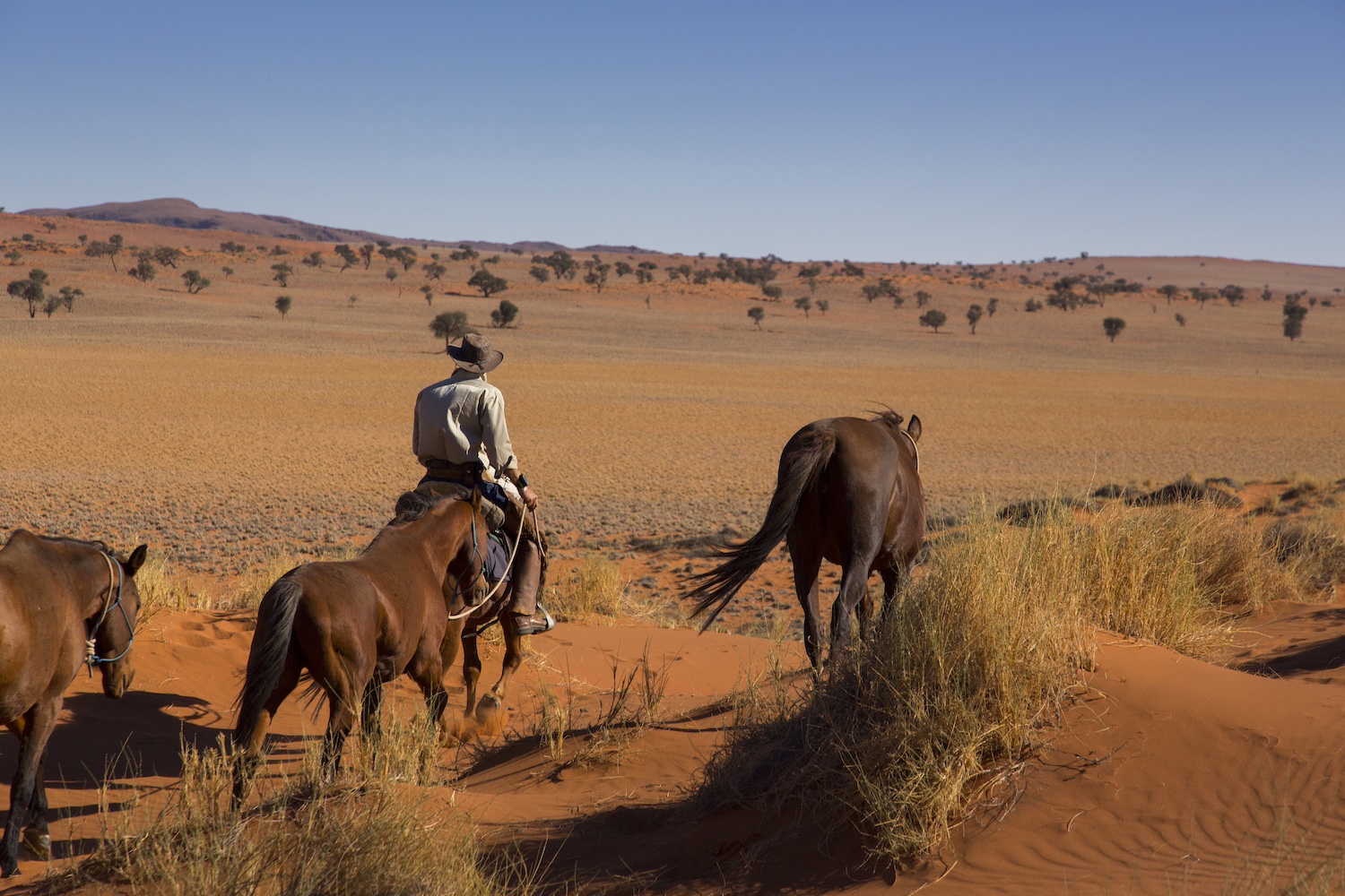 In Namibia along the sea