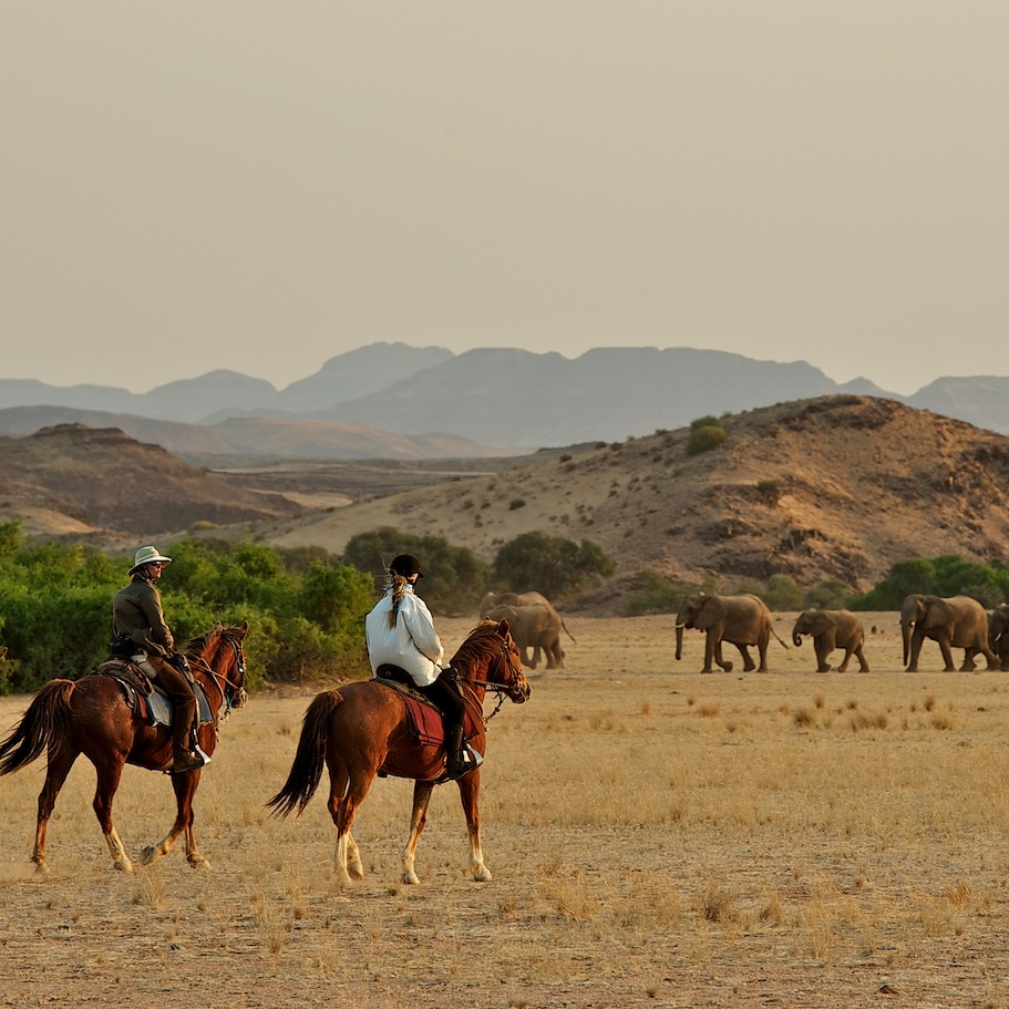 Namibia more than sand