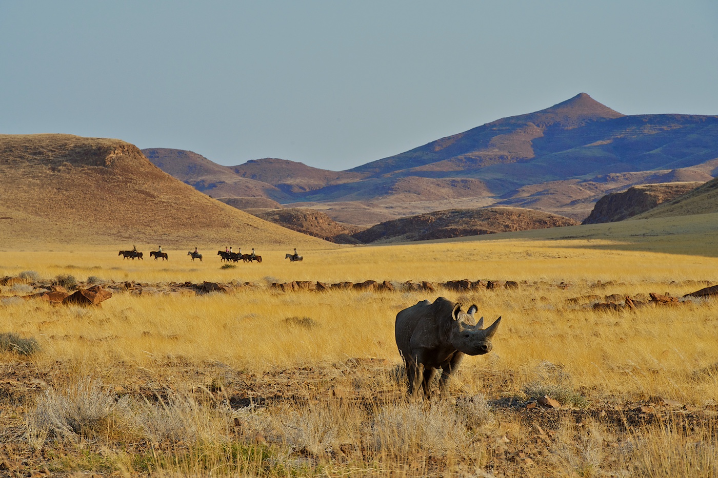 Namibia more than sand