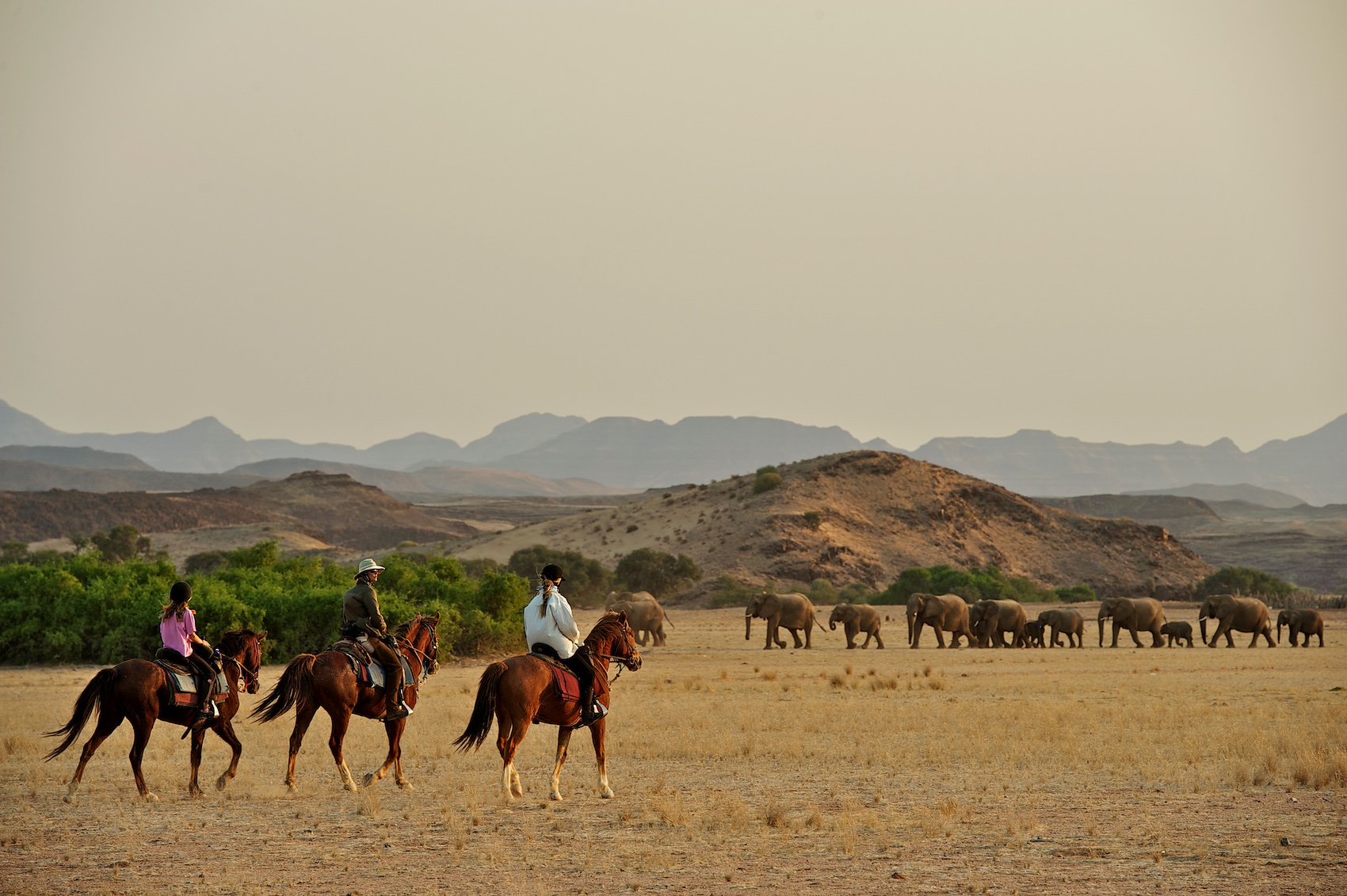 Namibia more than sand