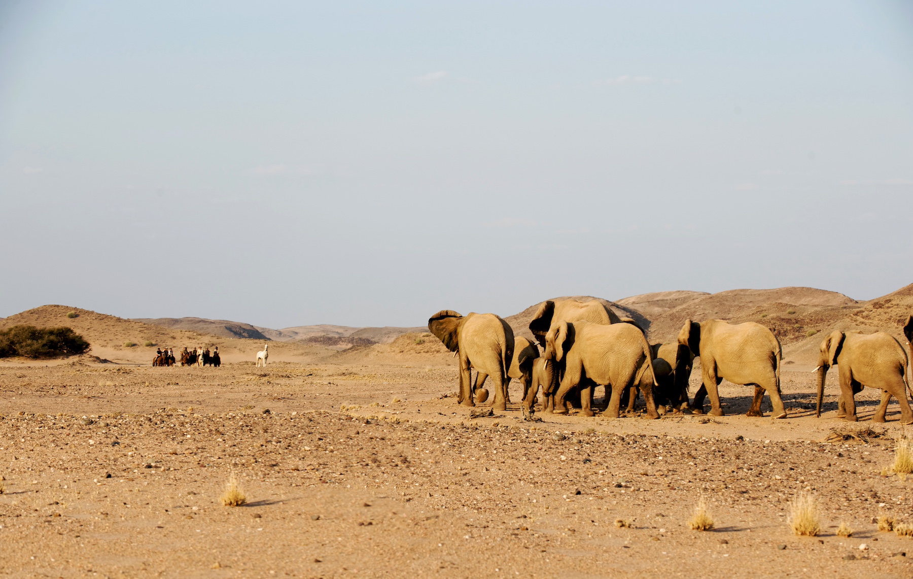 Namibia more than sand