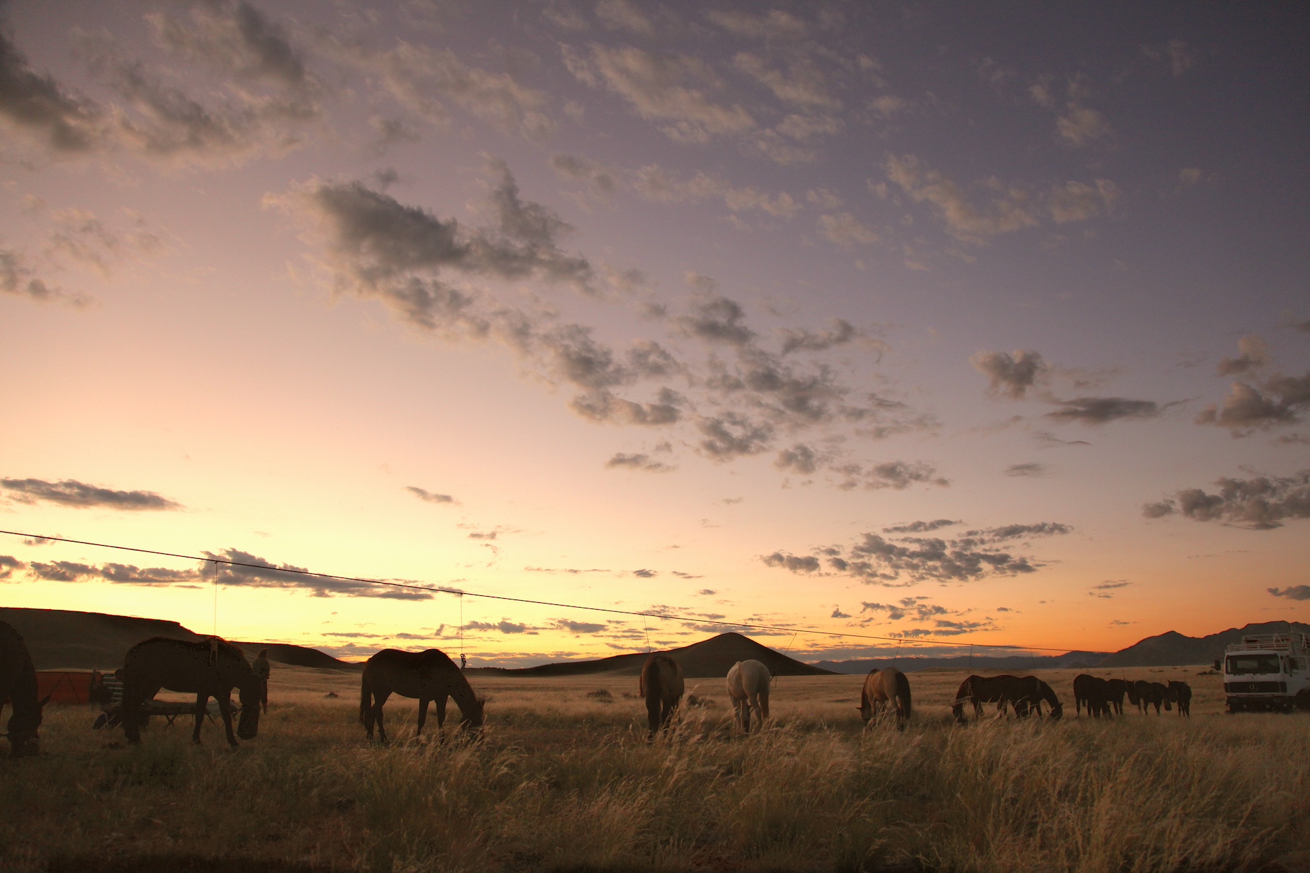 Namibia Desert