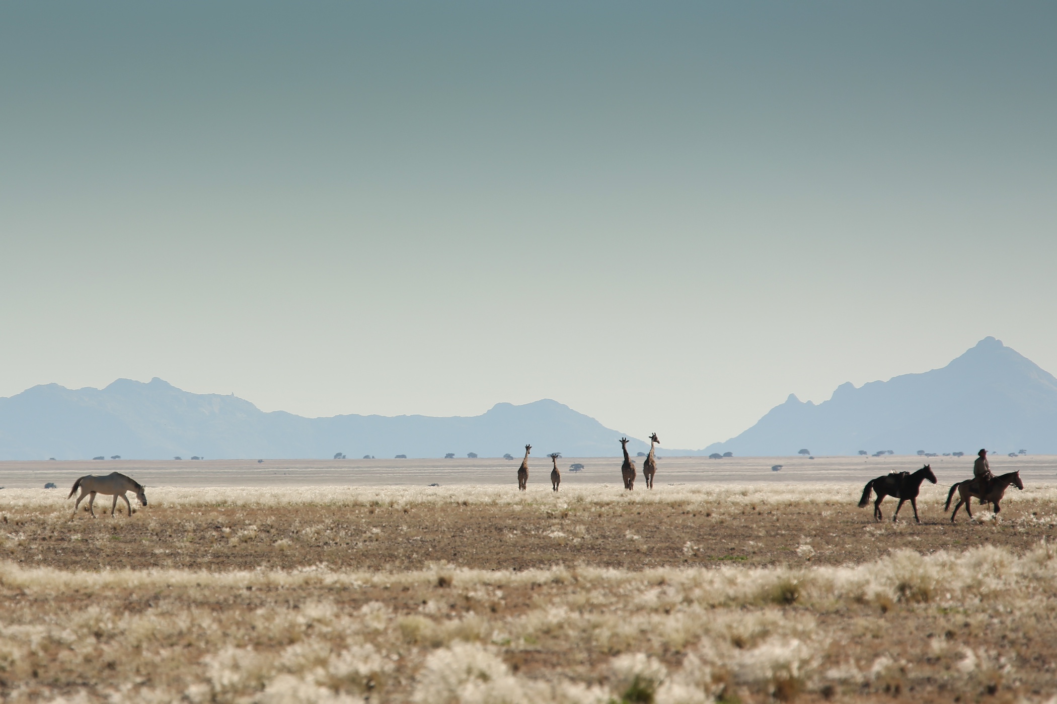 Namibia Desert