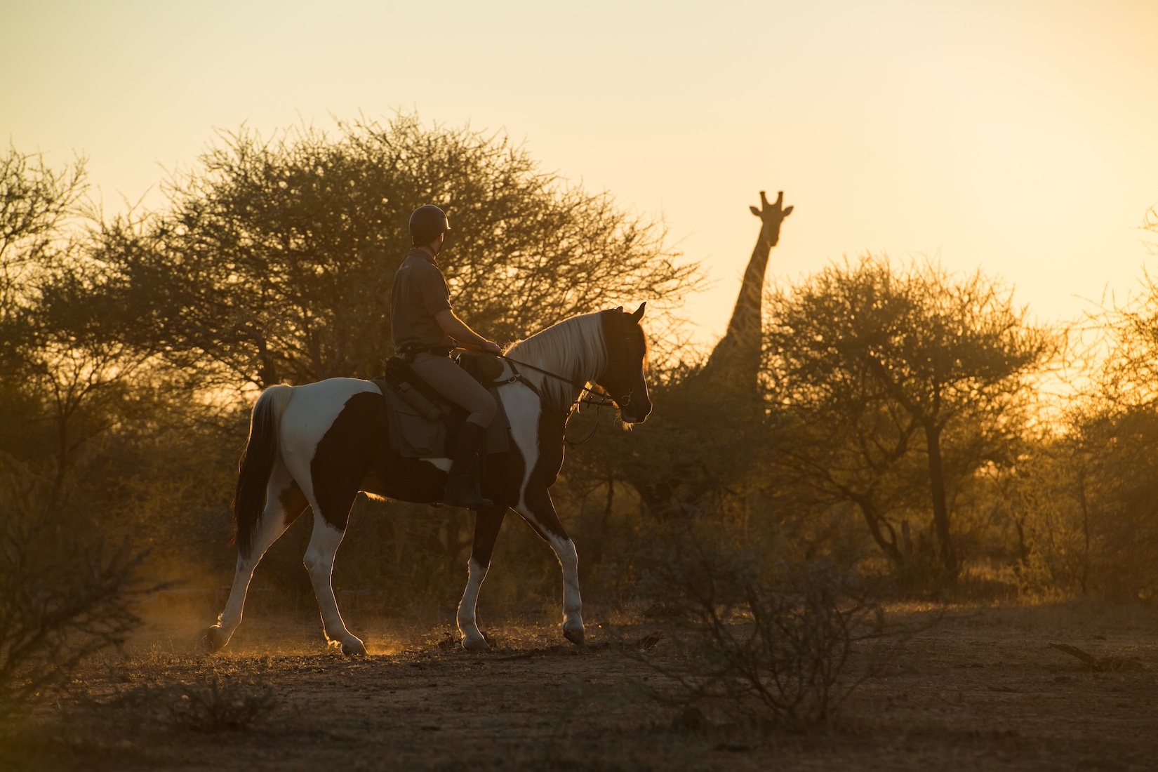 African Explorer