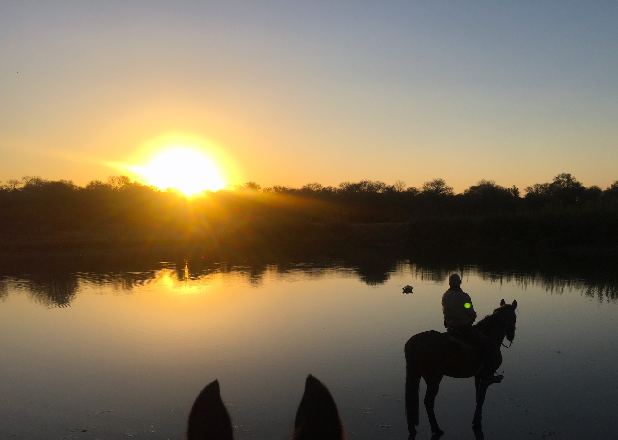 Ultimate Riding Safari