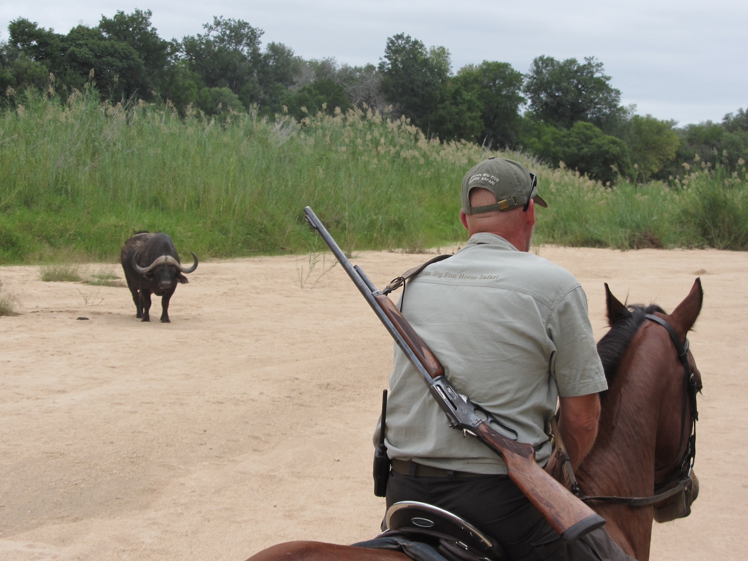 Ultimate Riding Safari