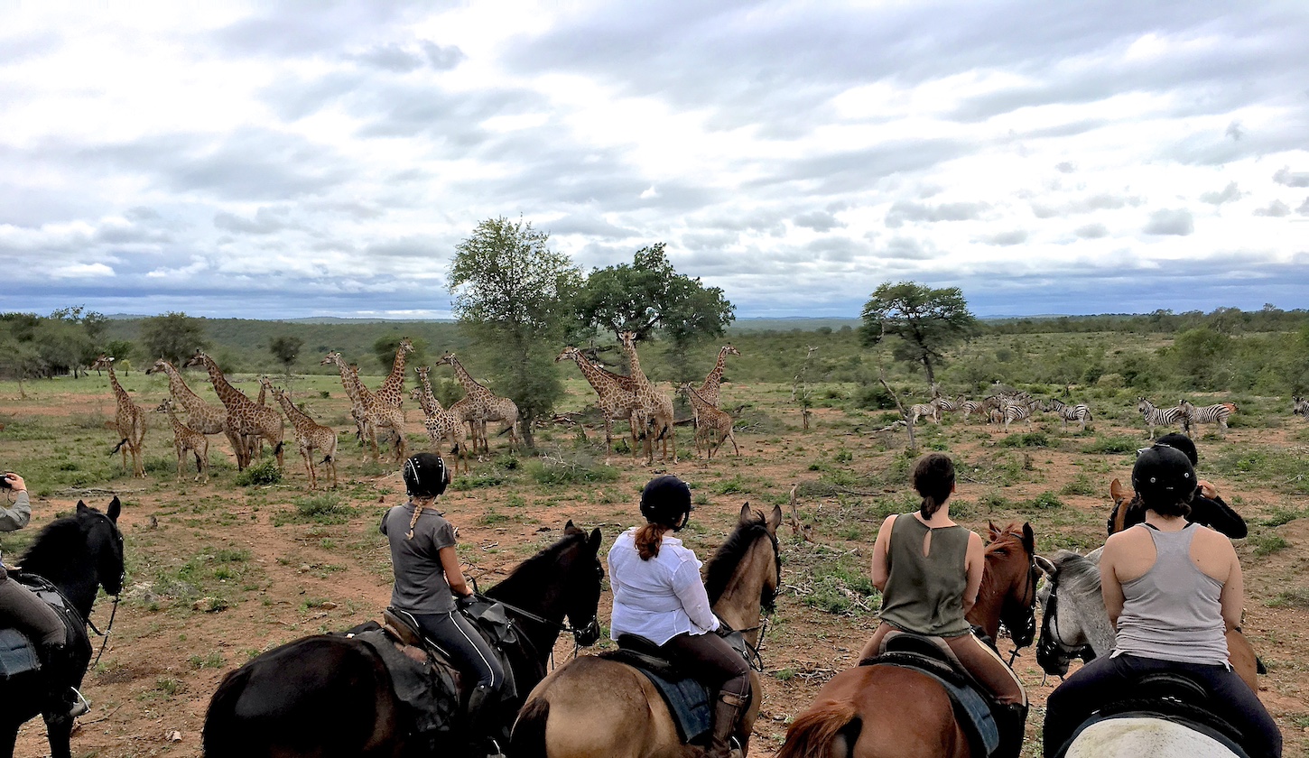 Ultimate Riding Safari