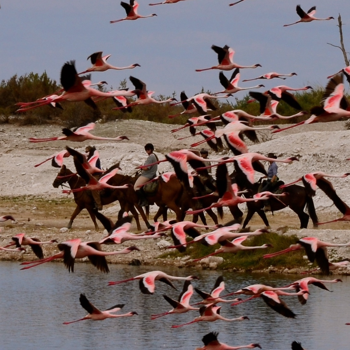 Lake Natron