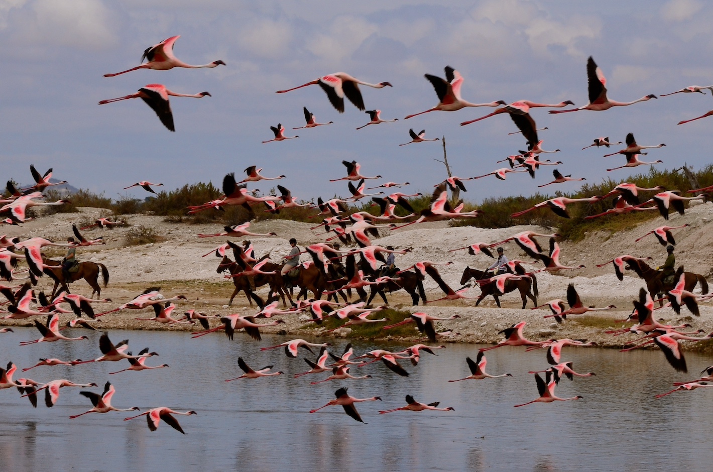 Lake Natron