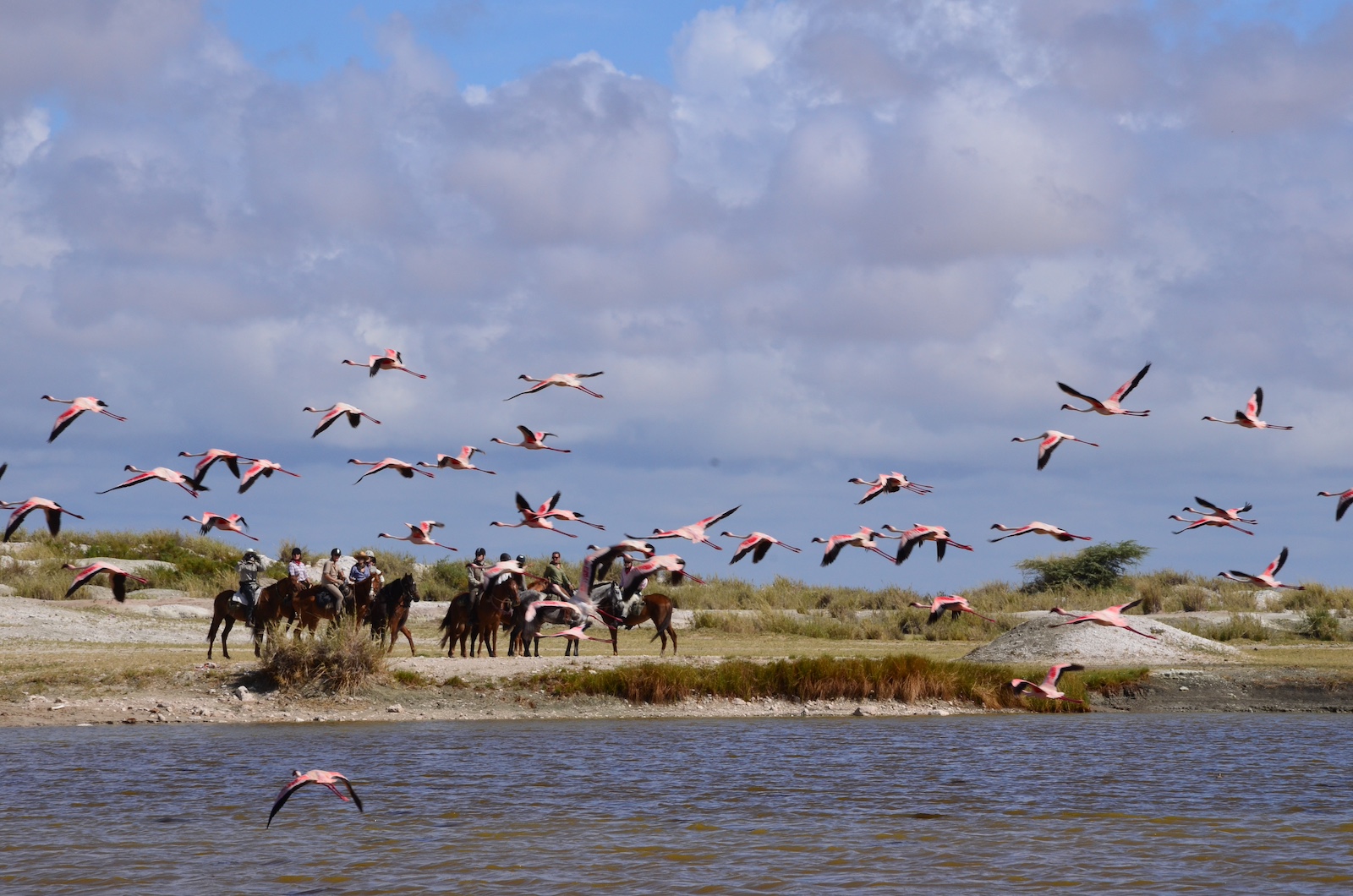 Lake Natron