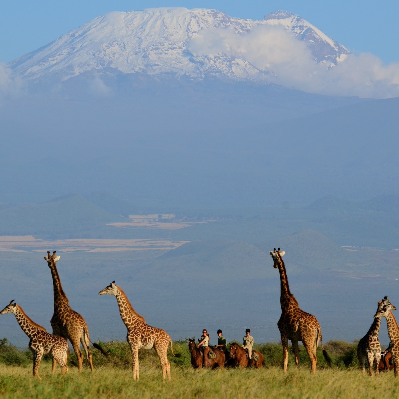 Mythical African Mountain