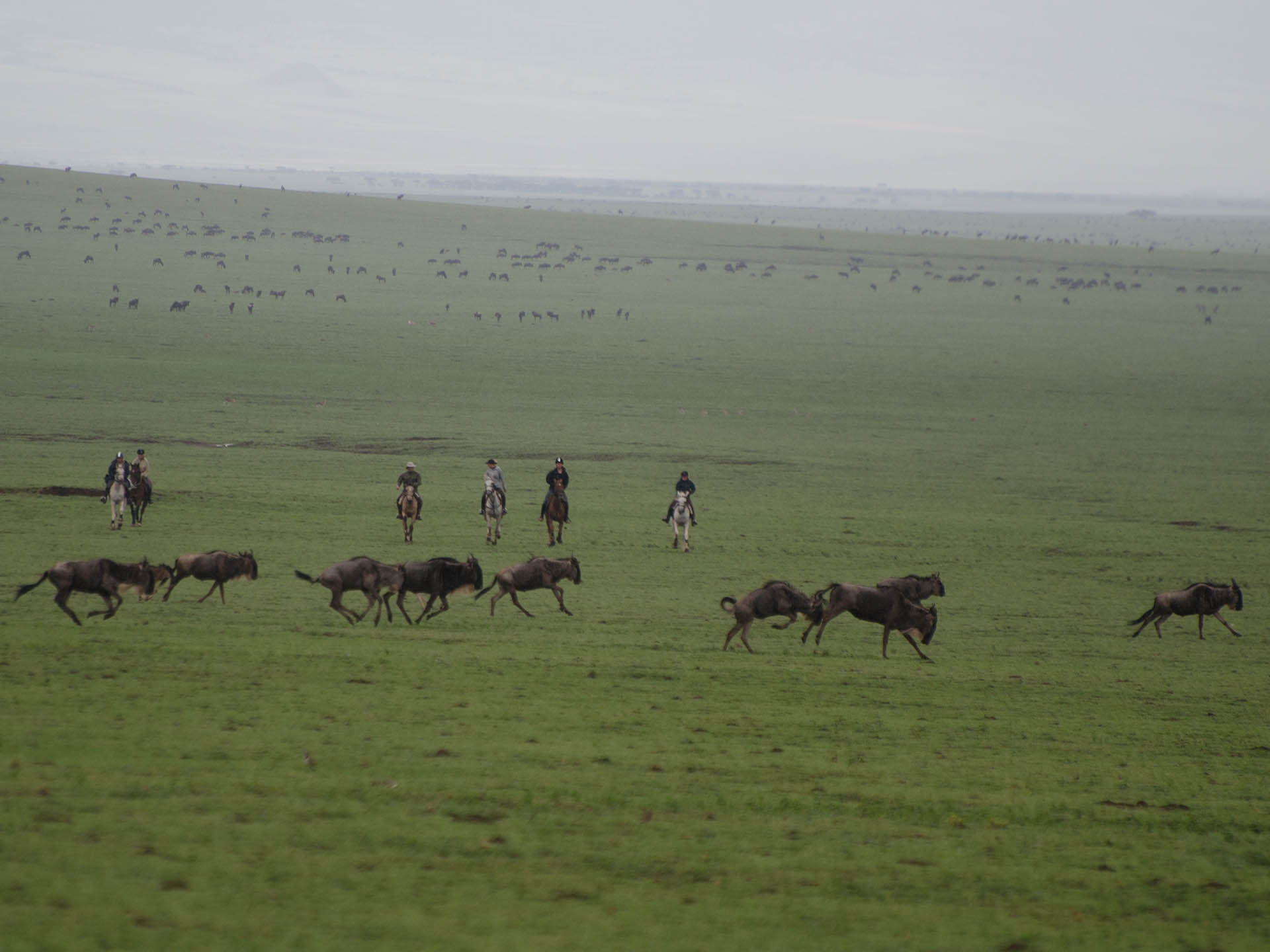 Mythical African Mountain