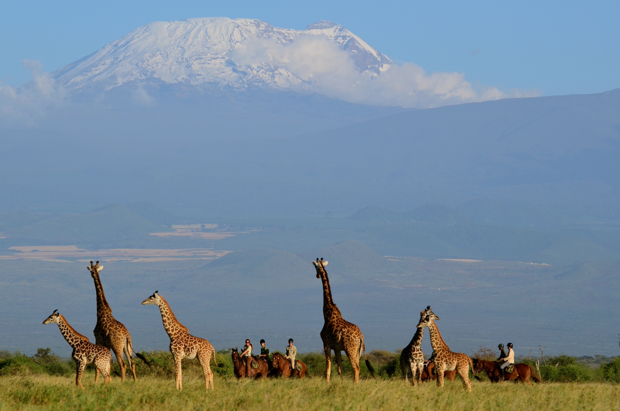 Mythical African Mountain