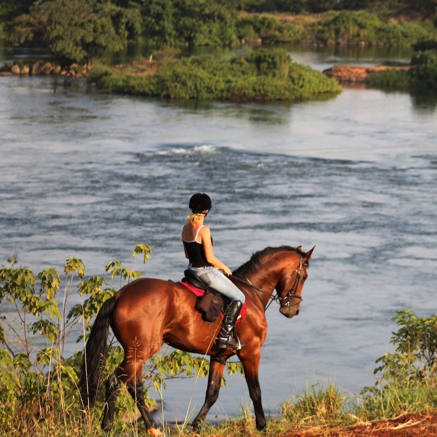 Uganda, jungle and Nile