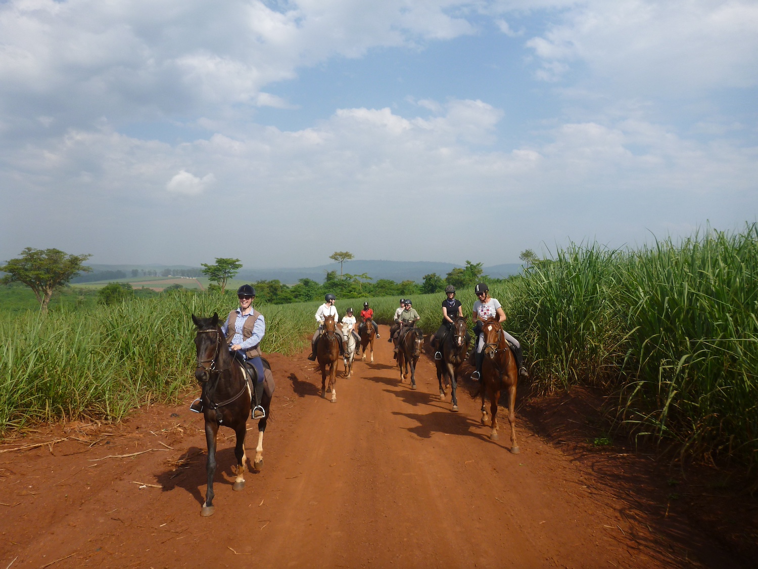 Uganda, jungle and Nile