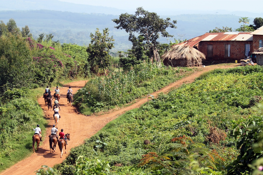 Uganda, jungle and Nile