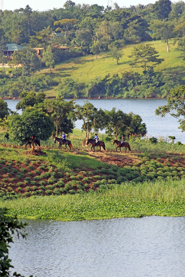 Uganda, jungle and Nile